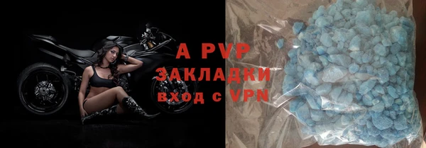 СК Покачи