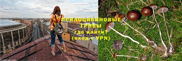 хмурый Покровск