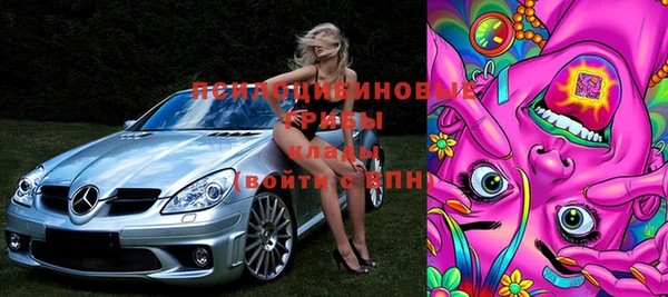 СК Покачи