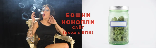 СК Покачи