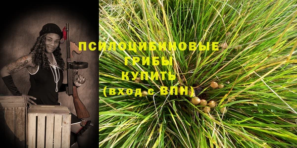 хмурый Покровск