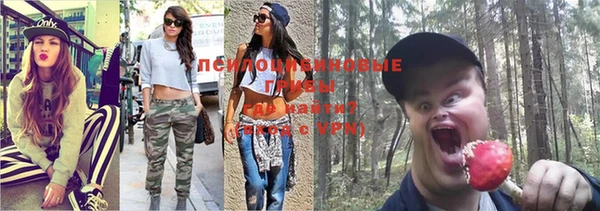 мяу мяу мука Покров